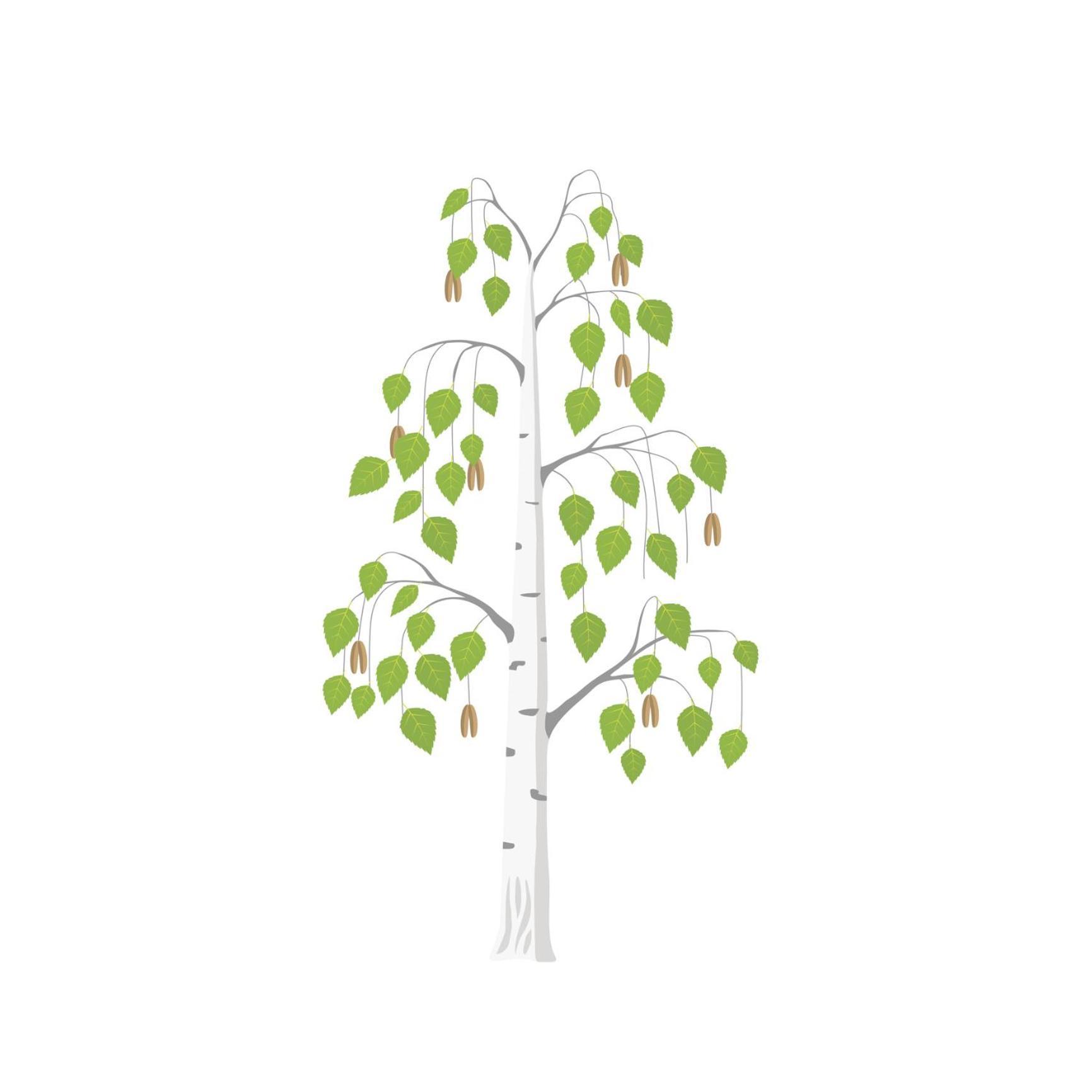 Betula Views Studio Newent Exteriér fotografie